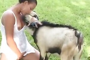 Bestiality XXX Porn