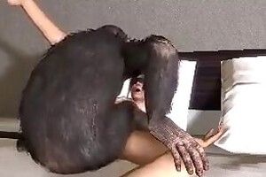 Porno zoo and bestiality